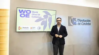 FOTO_Presentacion-WOOE_07-scaled (1)