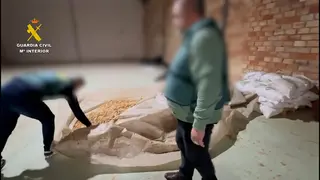 333 (1)