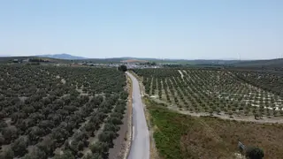DJI_0405-scaled (1)