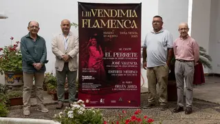 FOTO-RDP-Vendimia-Flamenca-de-DoA&plusmn;a-MencIa_17-scaled (1)