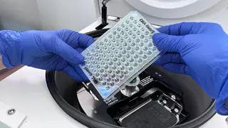 laboratorio hematologia terapia celular 4 (1)