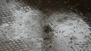 2023051419265344632
