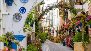 callesdelasflores1