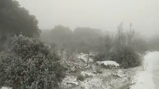 2020012010394662851