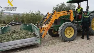 ACEITUNA 5 (1)