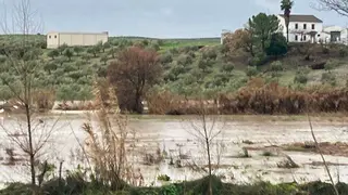 Desbordamiento del R&iacute;o Cabra a su paso por Huertas Bajas_(04-02-2026) (1)