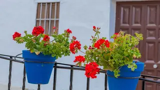 Carcabuey-convoca-el-XI-Concurso-de-Embellecimiento-de-Fachadas-Rincones-y-Patios-2026