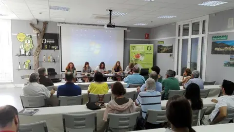 formaci&oacute;n_2017