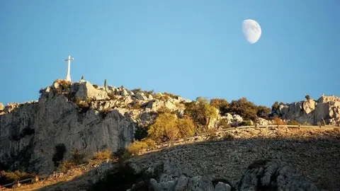 2017120508473676305