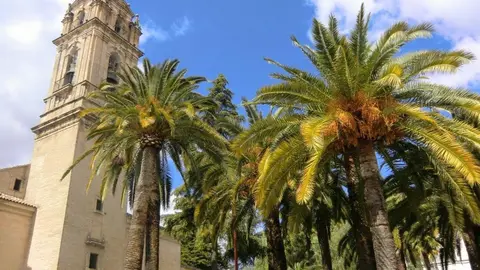 IglesiaAsuncion-1080x675