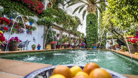patio-con-duende