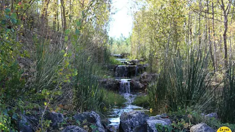 jardin