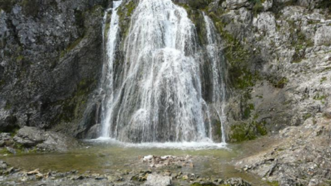 fuente-tojar