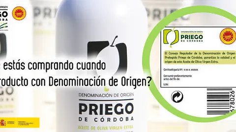 Publicidad-1_opt