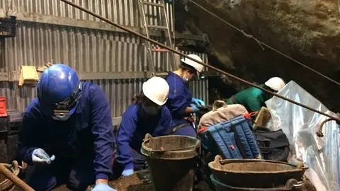 excavaci&oacute;n 2016_opt