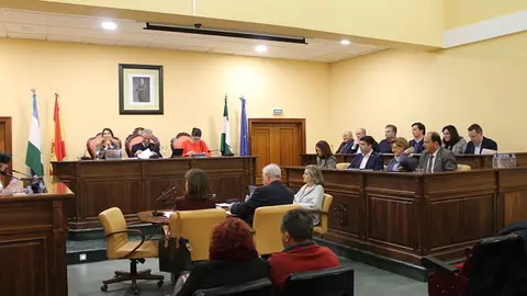 Pleno municipal_opt