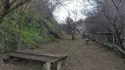 83904350_3504755902929487_5008614560777633792_o_opt
