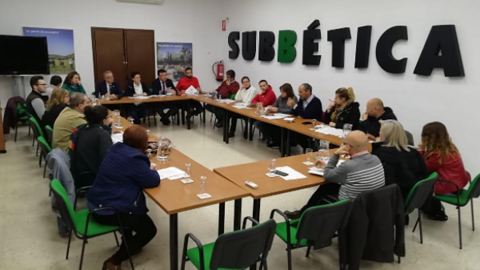 subb_opt
