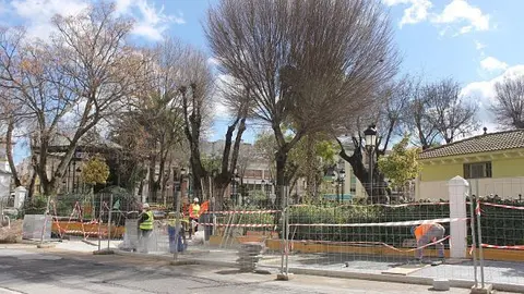 Obras acerado Paseo de Rojas (2)_opt