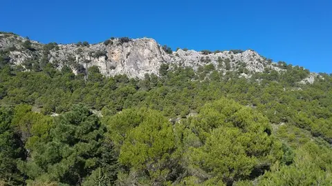 Yunquera_opt