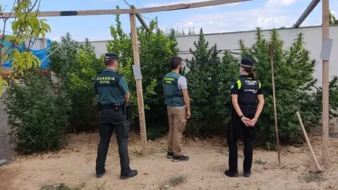 MARIHUNA LA RAMBLA_opt