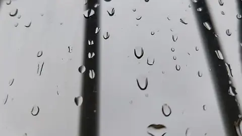 2020101809264899694