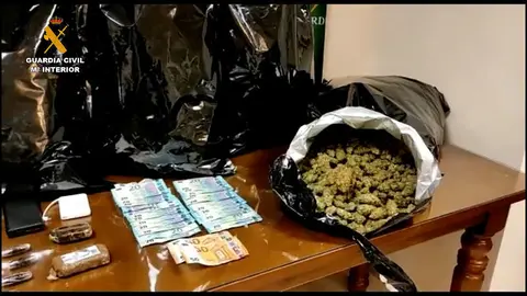 op_marihuana_carlota_cordoba_editada_opt