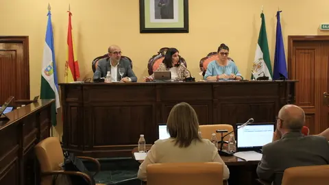 220531 Pleno ordinario (6) (1)