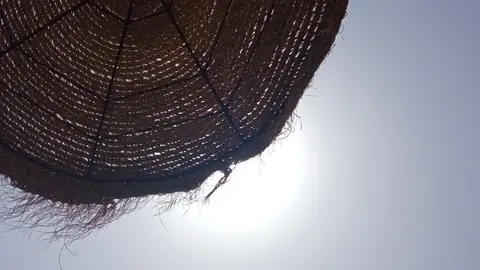 1659376449685 (1)