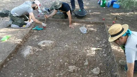 subbetica