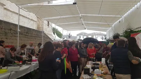 44327516_1896229780453380_5056125630739906560_n