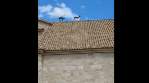 montes (1)