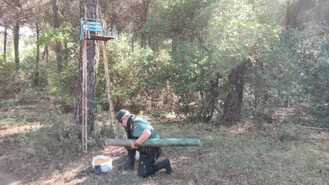 TRASSSIERRA CAZA FURTIVA