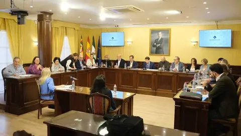 Pleno extraordinario_(20-10-2023)_1 (1)