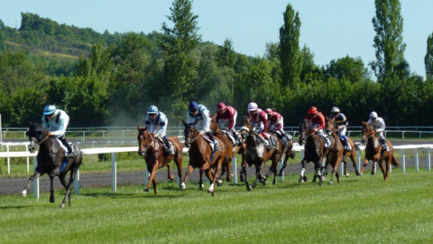 caballitos (1)