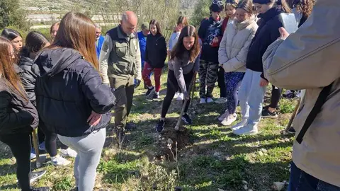 SOSTE_Reforestacion_Santa Rita_01 (1)