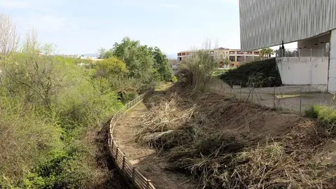 240321 RP LIMPIEZA CAUCE R&Iacute;O LUCENA (1)