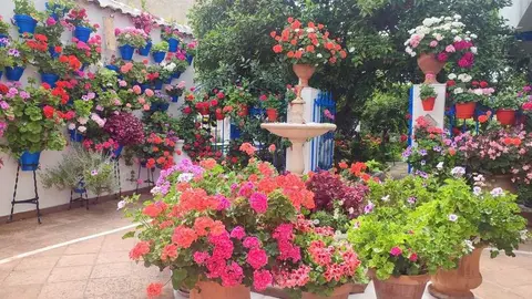 PATIO GANADOR (1)