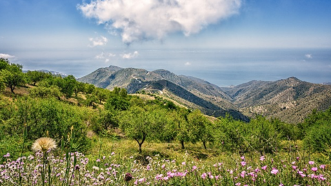 visita andalucia