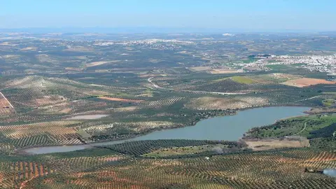 Humedales (1)