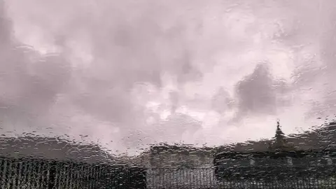 2019111212181464861