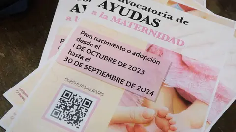 Ayudas a la Maternidad y Adopci&oacute;n_(26-09-2024)_5 (1)