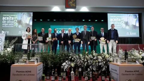 FOTO_Entrega-Premios-AOVE_47-scaled (1)