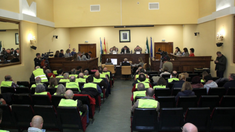 Pleno-Febrero-2025-980x568