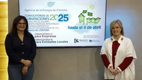 FOTO_Convocatoria-de-Subvenciones-de-la-Agencia-Provincial-de-la-Energia_12-scaled (1)