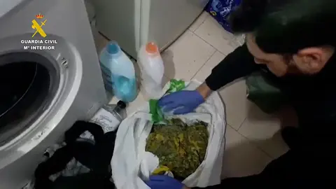 incautacion_marihuana_cordoba_editado_01 (1)