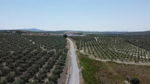 DJI_0405-scaled (1)