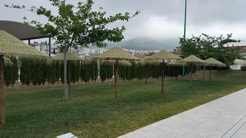Apertura de la Piscina Municipal de Rute_(11-06-2025)_2 (1)
