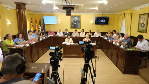 Pleno ordinario mes de junio_(30-06-2025)_1 (1)