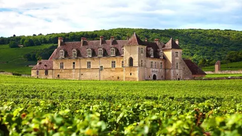  Alemania, tierra de vinos: regiones, variedades y tradiciones centenarias 